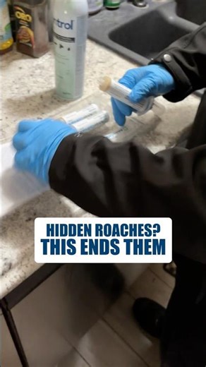 The Roaches You SEE Aren’t the Problem… Here’s What Ends Them #shorts