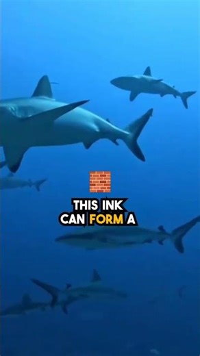 “Why Squids Use Ink to Escape |PREDATORS|”