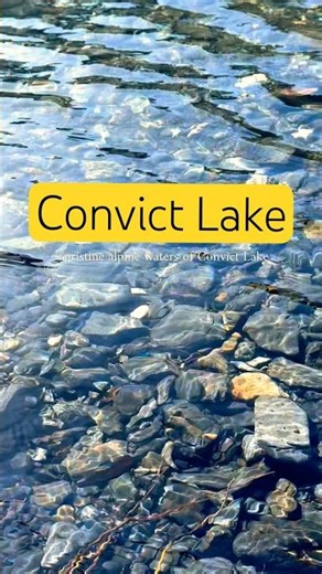 clearest water I've ever seen in the Sierras #lake