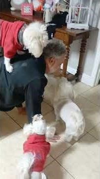 Bed time fun with the kiddos.