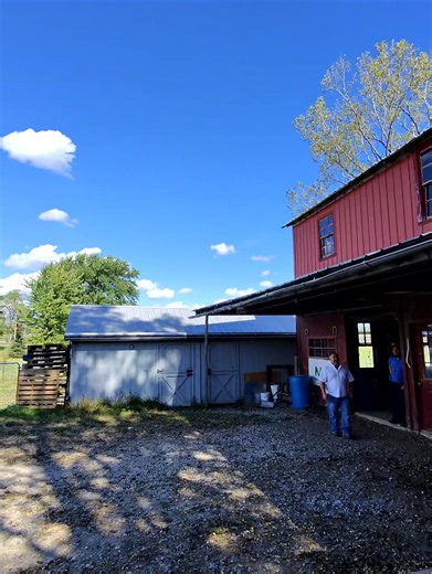 13K views · 184 reactions | Just swing up on this short 17.3 hands …. | Linda A Yoder | Facebook