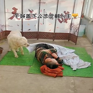 46K views · 1.1K reactions | Good job, liitle dog!  #Dogs #CuteDogs #LoveDog #SmartDogs Join my group :  Love Dogs . Thank you so much ❤ | Dogs Daily | Facebook