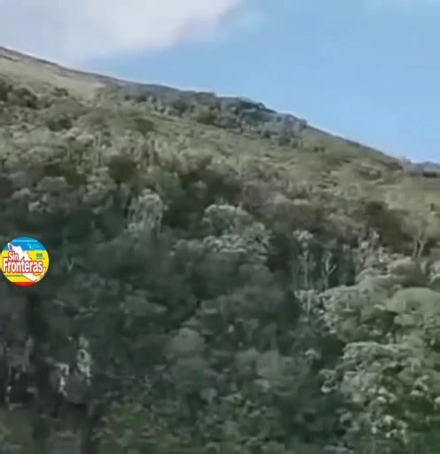 EL JAGUAR BLANCO QUE SE CREÍA EXTINTO EN CHIAPAS, FUE VISTO EN EL CAÑÓN DEL SUMIDERO • Sorpresas y mitos en la selva chiapaneca Por Agencias SFAS/Tuxtla Gutiérrez, Chiapas.- La supuesta presencia de un jaguar blanco en las inmediaciones del Cañón del Sumidero ha causado asombro y revivido antiguos mitos en Chiapas. Aunque no hay una versión oficial que confirme la veracidad de las imágenes difundidas en redes sociales, el video que muestra al majestuoso felino ha encendido el debate entre expert
