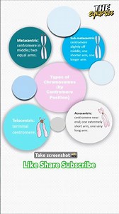Type of Chromosomes #shorts #ncert #biology #neet #htet #kvs #dsssb #ssc #aiims