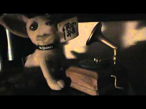 Terry Bradshaw / I'm so Lonesome I Could Cry ... 1976