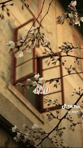 Exploring English Songs Popular on TikTok