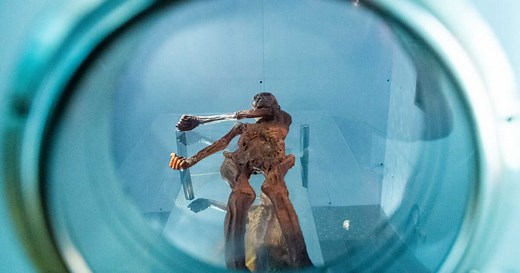 Ötzi : les techniques ancestrales derrière ses tatouages vieux de 5 300 ans révélées