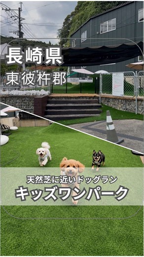 波佐見町にある小型犬専用ドッグラン🐶🌿 Kidz WAN Park（キッズワンパーク） @kidzwanpark へ！ 築山やトンネルなど、ワンちゃんが思いっきり遊べる広々スペース✨ 天然芝に近いハイテク人工芝「COOOL®」を使用し、快適性や安全性にもこだわったドッグランです。 そして嬉しいのが……入場無料！✨ 愛犬と遊んだあとは、同じ敷地内の ☕️ AWESOME STAND @awesome_stand でひと休み。 🐾 愛犬との休日に、ぜひチェックしてみてください！ 📍長崎県東彼杵郡波佐見町折敷瀬郷97-19 🐕 小型犬専用 🎟️ 入場無料 #キッズワンパーク #波佐見町 #ドッグラン #長崎ドッグラン #犬とのお出かけ