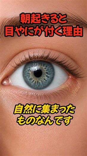 朝起きると目やにが付く理由 #shorts #雑学 #人体雑学