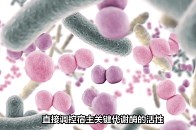 北大重磅研究发现：这种肠道真菌可以改善脂肪肝_腾讯新闻