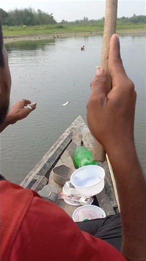 Amazing hook fishing trap #shorts #hookfishing #fihsing