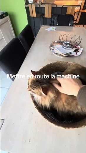 Comment hacker sa productivité avec la technique de la mâtiné rallongé #productivity #morning #spam