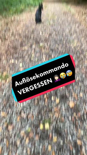 Antwort auf @Sandra mein armes Taylor Baby🥺