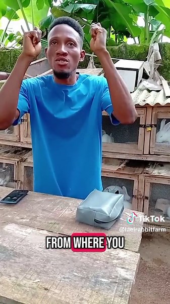 Doctor Rabbit on TikTok