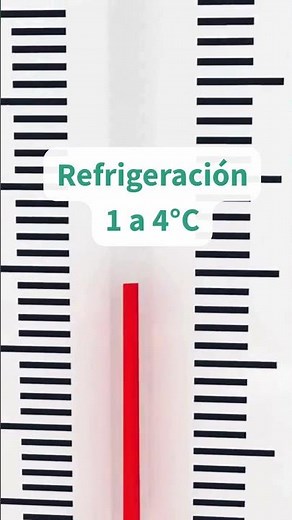 Control de Temperatura en tu cocina: la temperatura para mantener la inocuidad!!