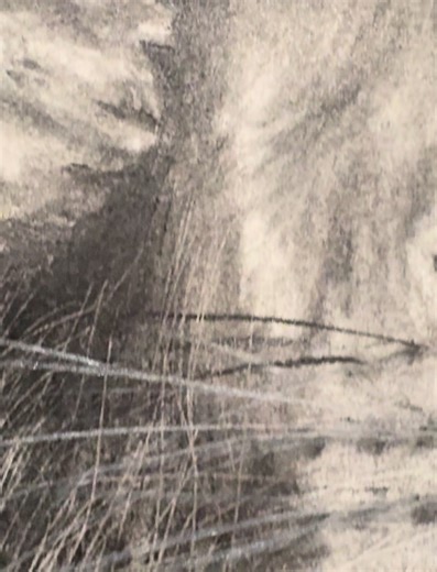 Charcoal Drawing of Simba from The Lion King