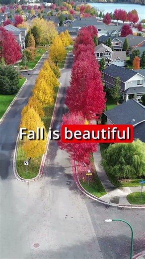 Retire in North Idaho and get 4 SEASONS