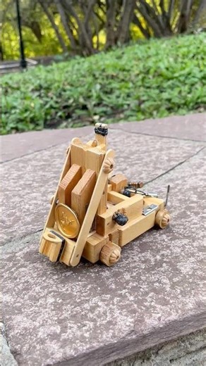 Springald ☠️ Rate to comment 1/100✍🏼