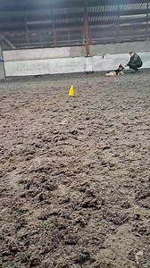 Woohoo!  New Reactive Workshop dates for June and July are dropping...