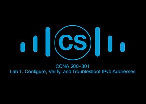 Lab 1. Configure, Verify, and Troubleshoot IPv4 Addresses