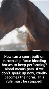 118K views · 1.5K reactions | Branding horses with hot or frozen irons causes severe pain, open wounds, and lasting trauma, even though modern identification tools like microchips make the practice unnecessary. | The Animal Rescue Site by GreaterGood | Facebook