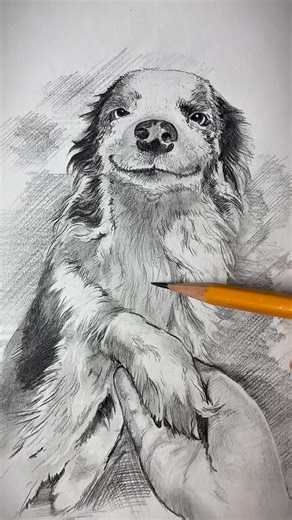 Petru Leca / The Artist on Instagram: "Dog drawing vanilla 🐶 part. 1 #dogdrawing #🐶 #myart #reelart #✏️ #1 #vanilla #dog"