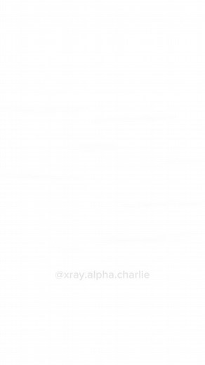 i finally fully animated my original character ginger! 🩷🩷 #fyp #foryou #animated #animation #originalcharacter #oc #ocanimation