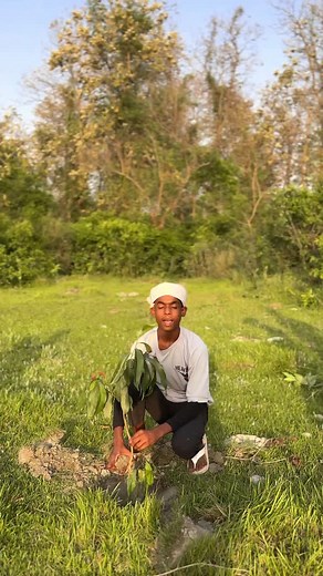 30K views · 25K reactions | ☝️Our Vision 14 Lakh Tree Planting Join Us A Making Greener Planet  #tree #treeplanting #treelove #treecare #treeoflife #treeclimbing #india #greenearthofficial | Murali Manohar Kushwaha | Facebook