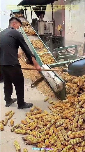 Comment une machine transforme la récolte en une symphonie agricole
