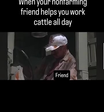 How to explain the stress of working cattle