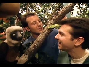 Zoboomafoo Cap. 26: “Bzzz”
