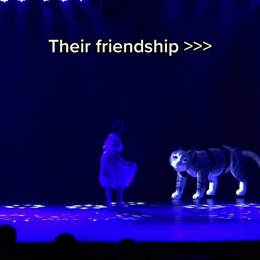 Girl and Her Royal Ballet Obsessed Cat | Cheshire Cat Gijinka