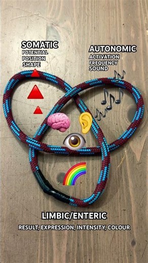 How the nervous system calculates reality. Position frequency intensity.