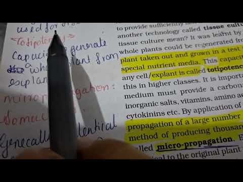 👉sure question | Plus two biology | Biotechnology and its Application in Agriculture
