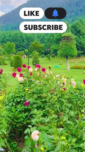 Bulbul nahe Gul ko pukara nahin hoga jis Dard Se Ham tumko pukara nahin hoga