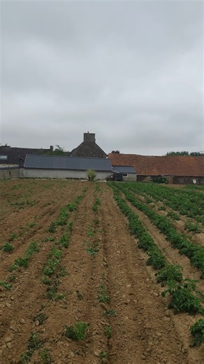 petite sortie #poutoi #detectiondemetaux #lefouilleur #coin #monnaie #detection #bretagne