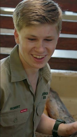Robert Irwin Loves Pugs! | Crikey! It's the Irwins | Animal Planet