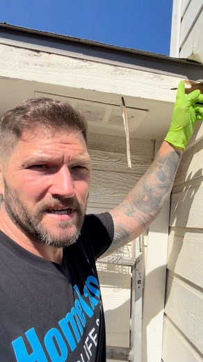 That's a gnarly squirrel hole... | Homeland Wildlife & Pest Control