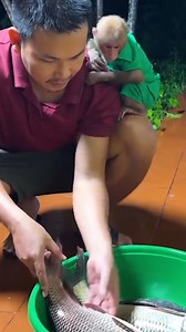 254K views · 1K reactions | BiBi is scared when she sees the giant fish #monkeybibi #bibi #reels #fyp #viralreelsfb #funny #cute #adsonreels #monkey #babymonkey #smartmonkey #animal #facebookReelscontest | Bibi's Video | Facebook