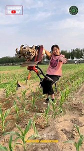 81K views · 1.1K reactions | Introducing the efficient and versatile...