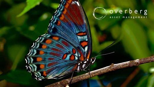 Overberg Asset Management Market Review Podcast | Diversification Calms Volatility | February 2026 | Overberg Asset Management (Pty) Ltd