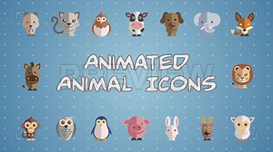 Animated Animal Icons Stock Motion Graphics
