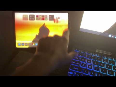 Apple/IOS Bluetooth Spam Using M5Stack plus 2 ( Bruce v1.0 )