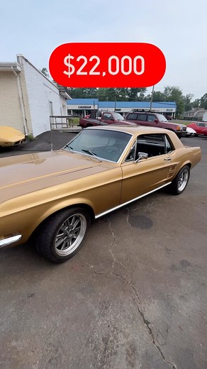 For sale 1967 Ford Mustang!!! #mustang #ford #s #fordmustang #mustanggt #gt #v #americanmuscle #mustangfanclub #fordperformance #cars #mustangsofinstagram #mustangs #musclecar #carsofinstagram #shelby #car #mustanglife #fordracing #camaro #mustangnation #musclecars #stang #foxbody #carporn #only #shelbygt #mustanglovers #cobra #fyp | Bob Evans Classics