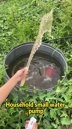 Household water pump#tiktok #fyp #trending #WaterPumpLife #HighPowerWaterPumping