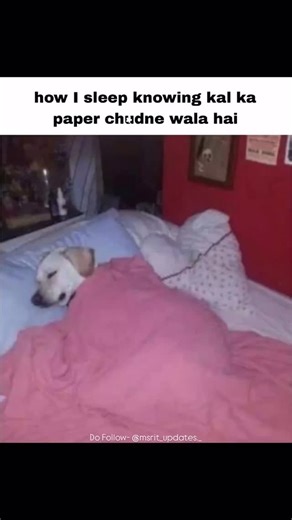 MSRIT UPDATES | How’s the exams preps going on?👀 Do Follow- @msrit_updates._ 😍 . . . . . . #bengaluru #viralvideos #msrit #collegelife #foryou... | Instagram