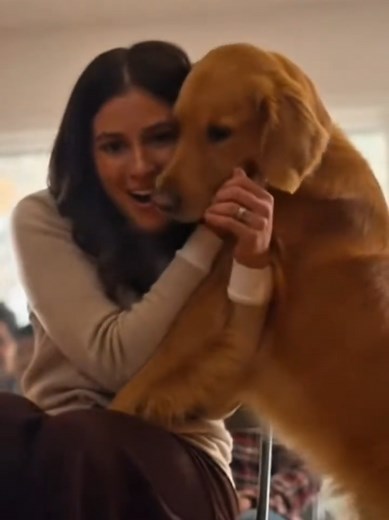 Dogs Pick Their Forever Owners at This Adoption Center