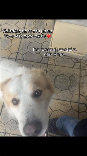 #foryou #flyppppppppppppppppppppppppppppppp #viral