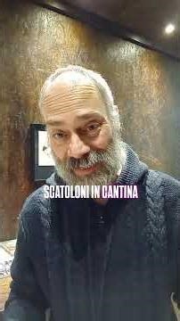 COSA CI STANNO DICENDO I PESCIOLINI ARGENTO?