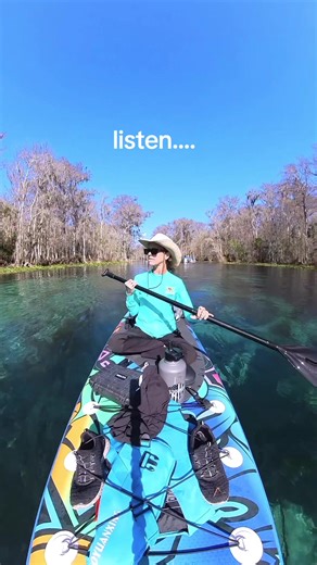 What does this sound mean in Florida 📸: @𝕥𝕒𝕔𝕥𝕚𝕔𝕒𝕝𝕔𝕙𝕚𝕔𝟟𝟟 #florida #alligator #florida #omgitswicks